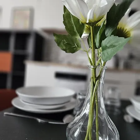 West Side Story - Wifi ,city Center *